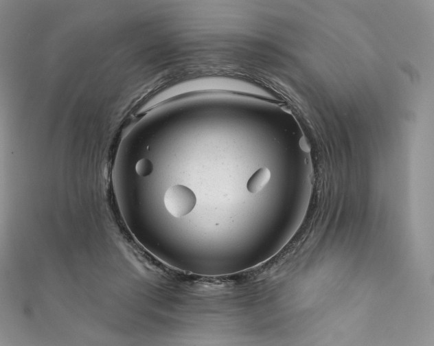 X0000111870405200907231517