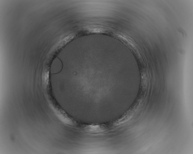 X0000111870406200907231517