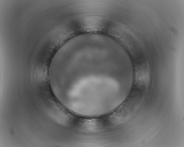 X0000111870411200907231516