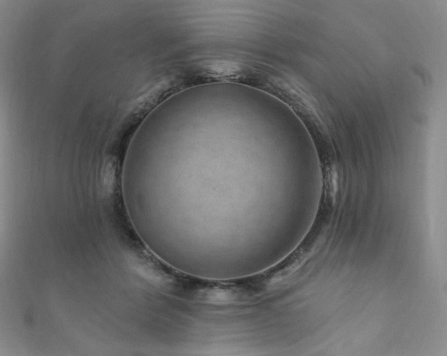 X0000111870412200907231516