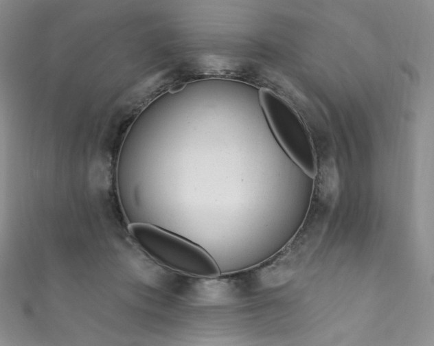 X0000111870413200907231516