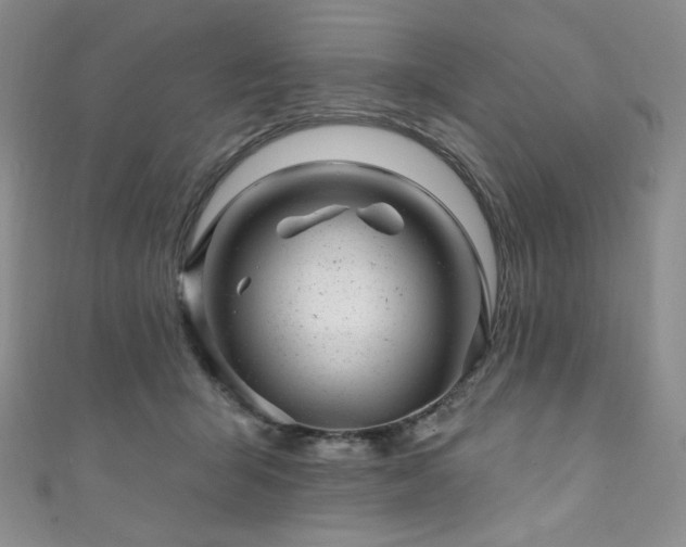 X0000111870415200907231516