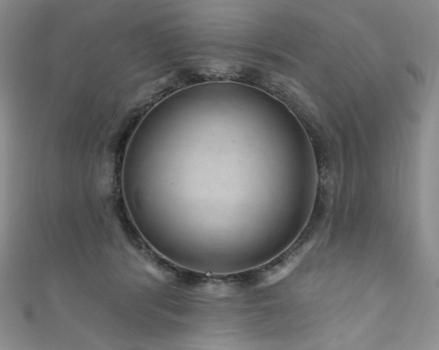 X0000111870416200907231516