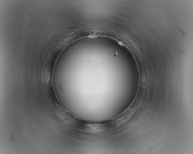 X0000111870417200907231516