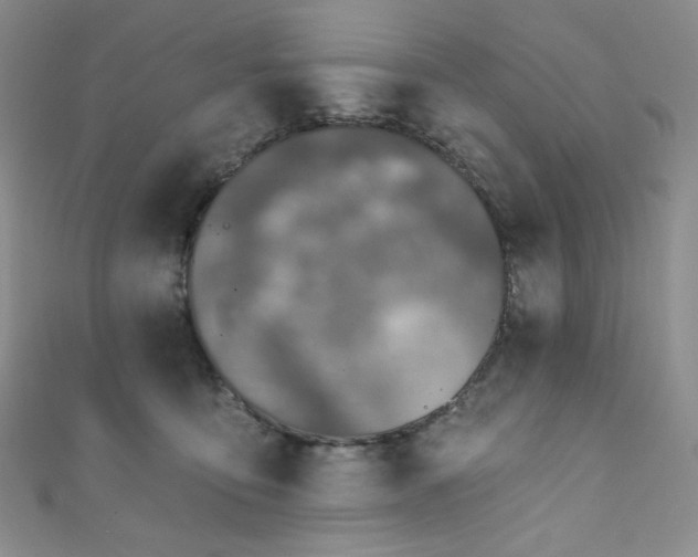 X0000111870419200907231516