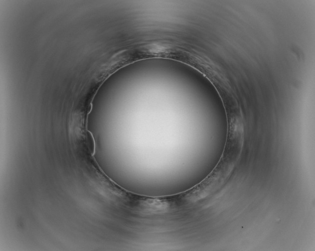 X0000111870421200907231516