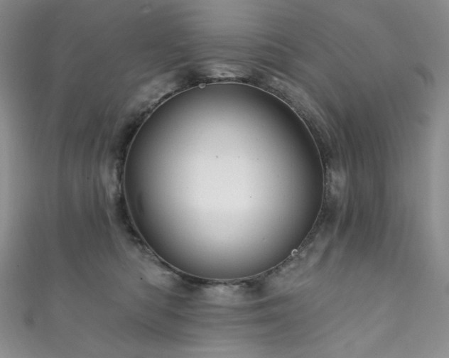 X0000111870422200907231516