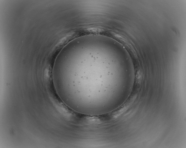 X0000111870424200907231516