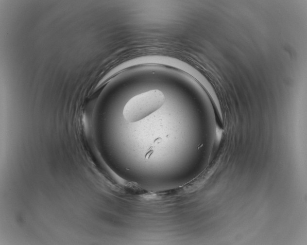 X0000111870425200907231516