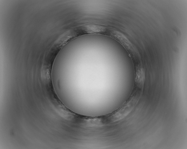 X0000111870426200907231516