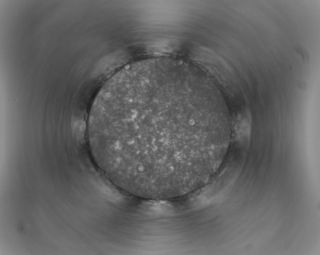 X0000111870427200907231516