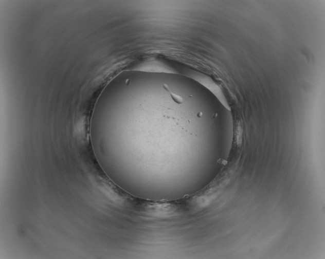 X0000111870428200907231516