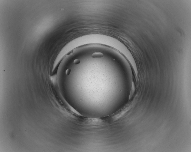 X0000111870429200907231516