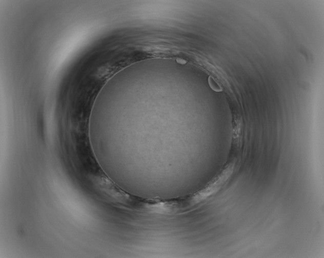 X0000111870430200907231516