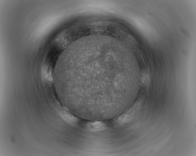 X0000111870431200907231516