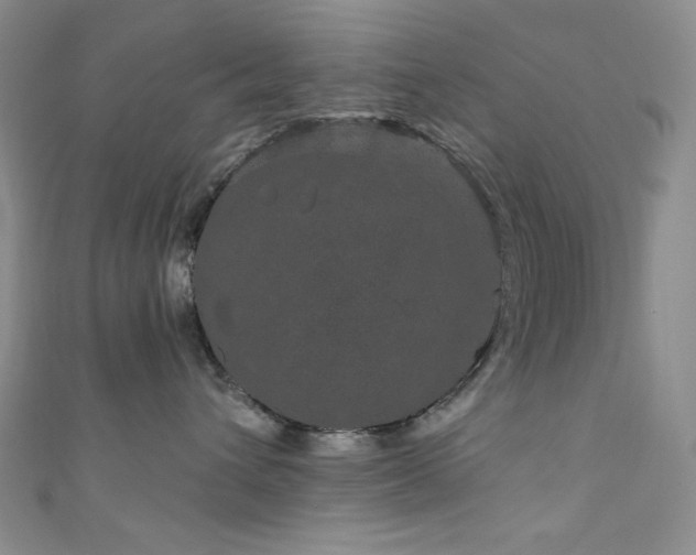 X0000111870432200907231516
