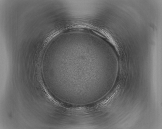 X0000111870433200907231516