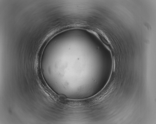 X0000111870435200907231516