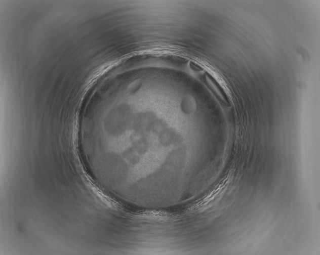 X0000111870437200907231516