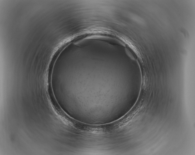 X0000111870438200907231516