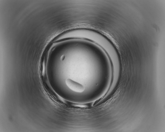 X0000111870439200907231516