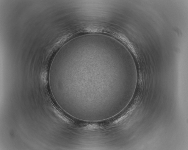 X0000111870441200907231516