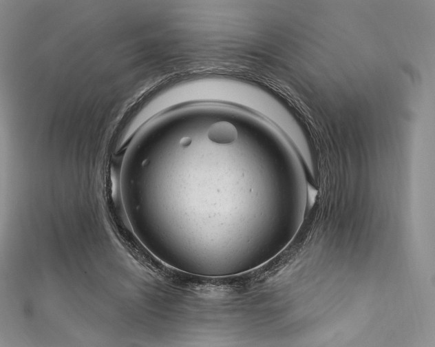 X0000111870444200907231516