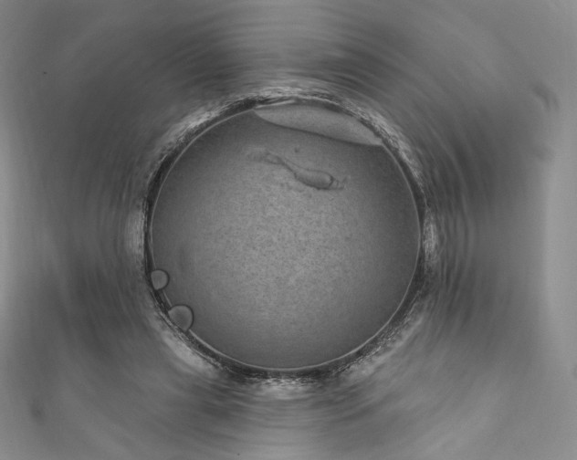 X0000111870445200907231516