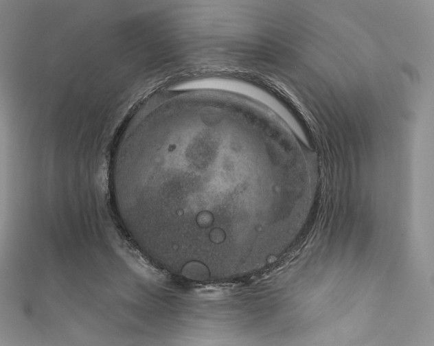 X0000111870447200907231516