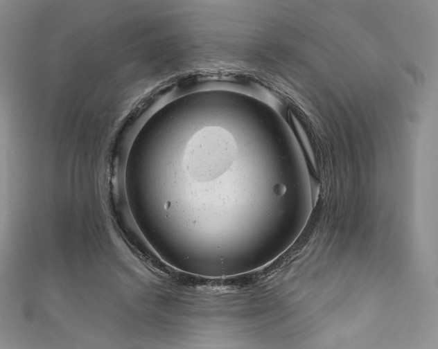 X0000111870448200907231516