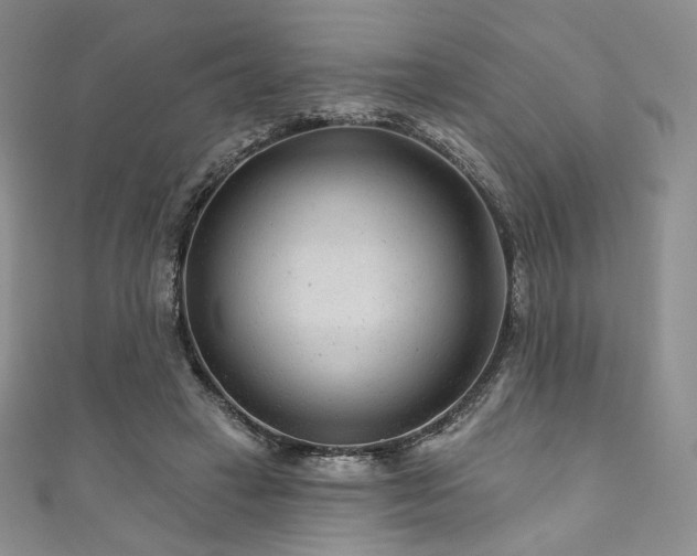 X0000111870449200907231516