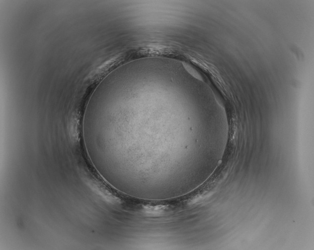 X0000111870450200907231516