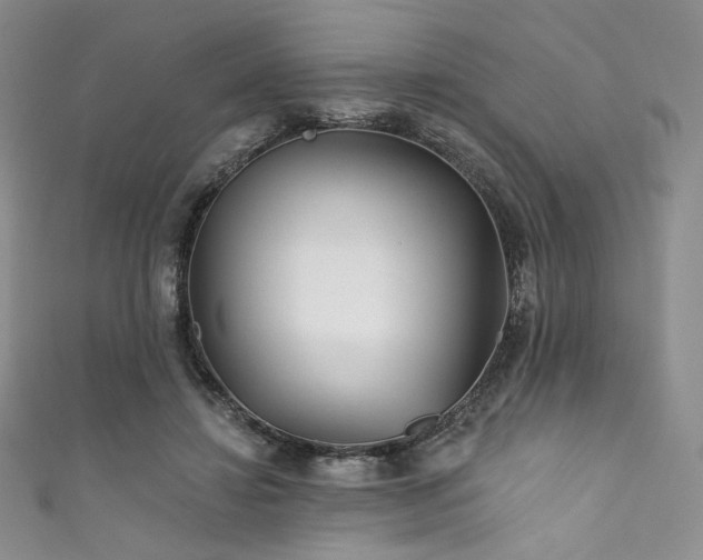 X0000111870452200907231516