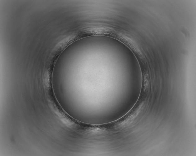 X0000111870453200907231516
