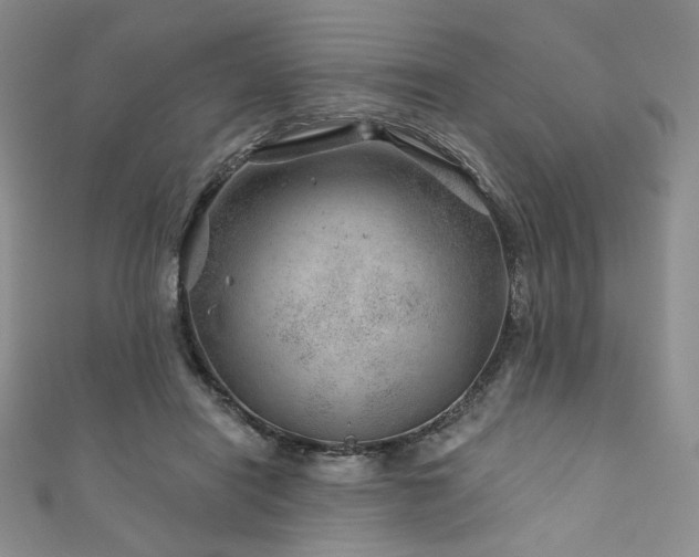 X0000111870454200907231516