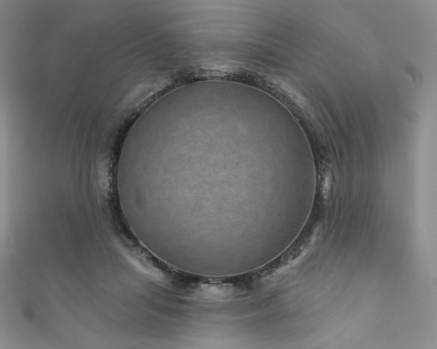 X0000111870455200907231516