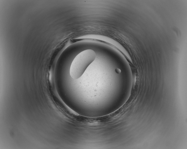 X0000111870456200907231516