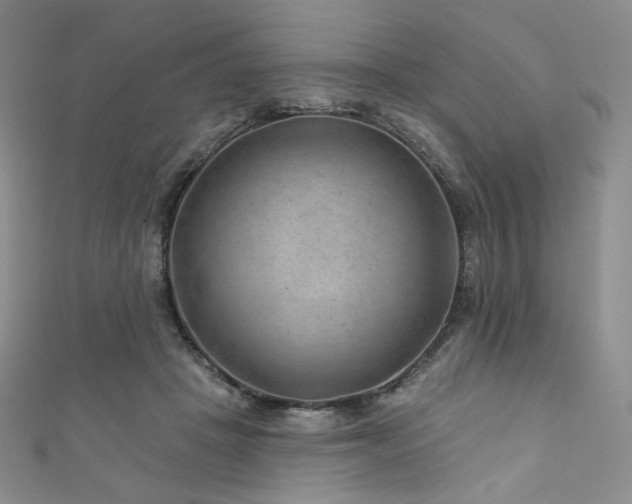 X0000111870457200907231516