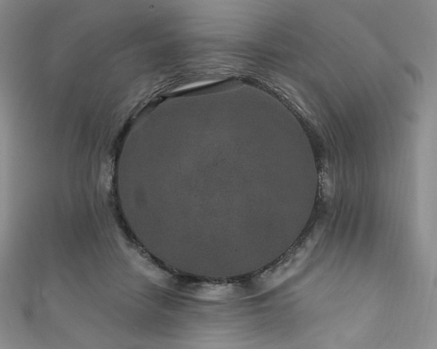 X0000111870458200907231516