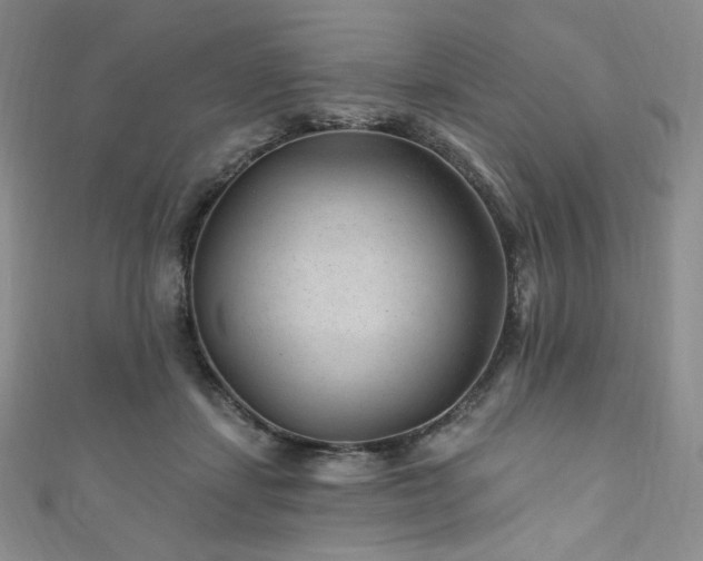 X0000111870459200907231516