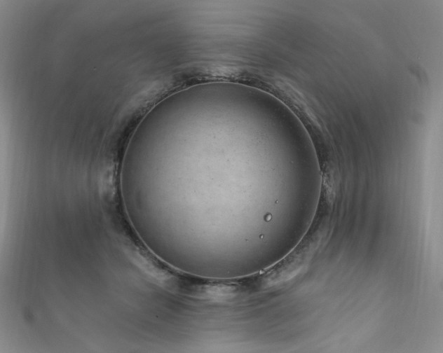 X0000111870462200907231516