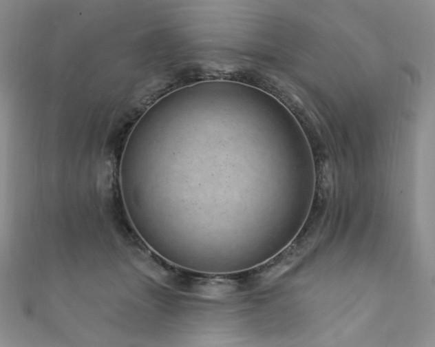 X0000111870463200907231516