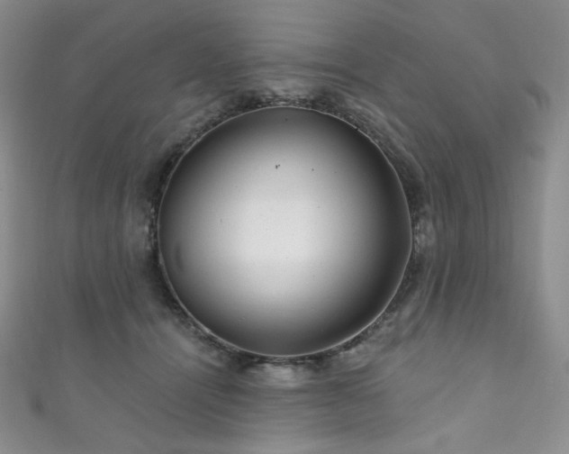 X0000111870464200907231516