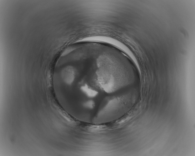 X0000111870465200907231516