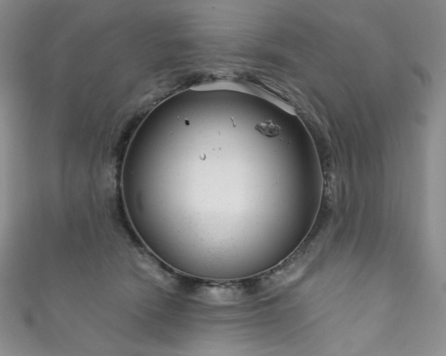 X0000111870466200907231516