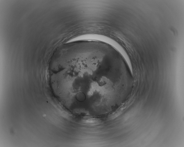 X0000111870467200907231516