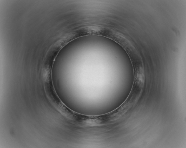 X0000111870468200907231516