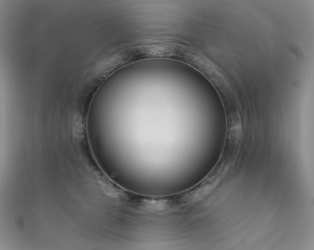 X0000111870469200907231516