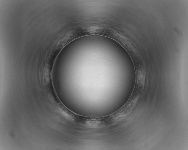 X0000111870470200907231516