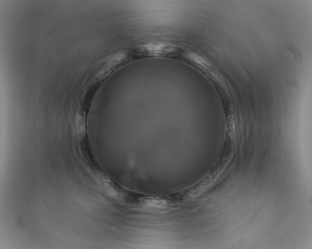 X0000111870471200907231516